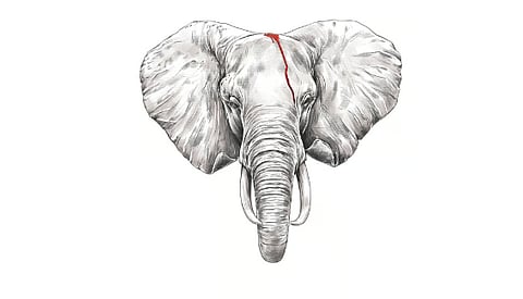 Image used for representational purposes only.