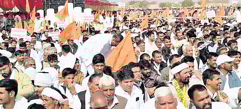 Tree felling for solar projects sparks Rajasthan protest