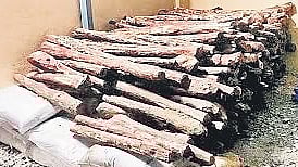 This will ensure that farmers get the best quality saplings for commercial cultivation, not just in Karnataka, but across India.