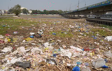 Garbage and plastic waste are dumped on the Vaigai banks