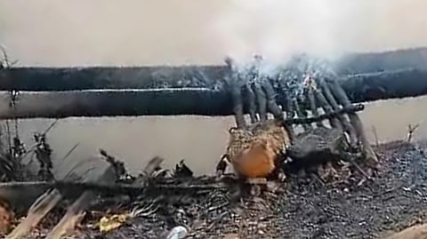 The incident occurred in the coal-rich East Jaintia Hills district.