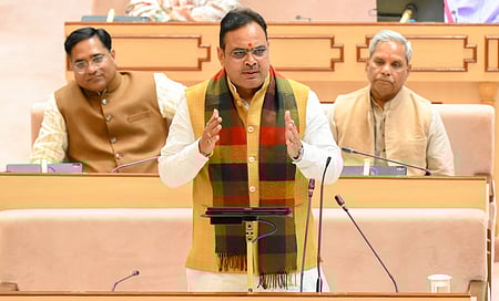 Govt will bring legislation to protect Khejri tree: Rajasthan CM 