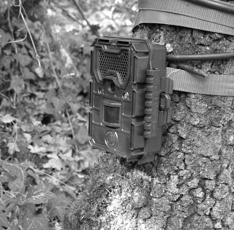 For the first time, 60 solar-powered cameras have been deployed, along with 110 trap cameras to monitor wildlife and study animal behaviour. 