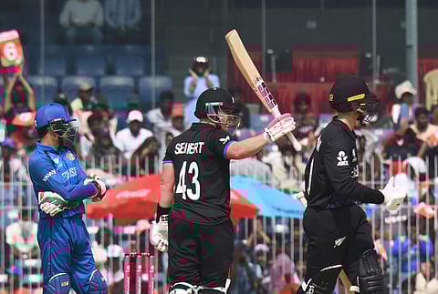New Zealand batter Tim Seifert (C) celebrates his fifty on Sunday