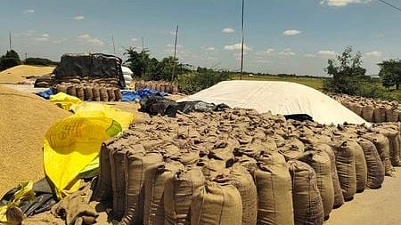 Paddy procurement image used for representative purpose.