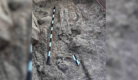 The skeletons were found in a well-preserved condition.