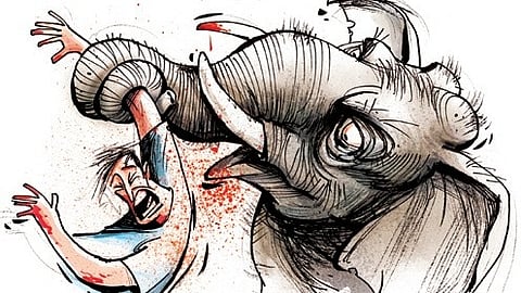 Farmers called for measures to prevent elephants from entering villages and compensation for those killed in elephant attacks be increased, like in Karnataka. 