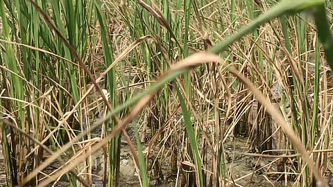 Image used for representational purposes only. 