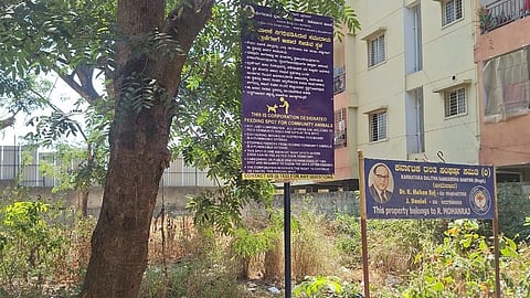 A signboard designates a dog feeding spot identified by the Greater Bengaluru Authority.