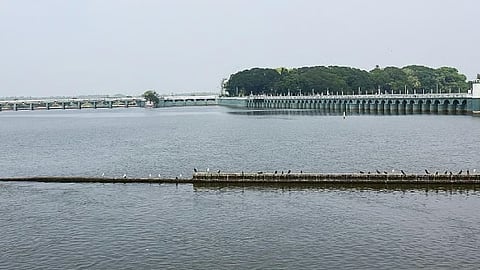 National River Conservation Directorate had approved Rs 934 crore for the first phase of Cauvery river restoration project.