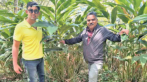 Stany Pothen with a local Guatemalan farmer at a cardamom farm in Cobán area of Alta Verapaz district — Central American country’s major cardamom-growing region — last April