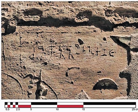 The majority of the inscriptions are in Tamil Brahmi.