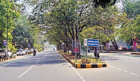 The three-km stretch selected for vending zone in the Marine Drive area.