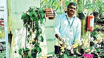 The exhibition features a diverse collection of plants grown by 150 trainees enrolled in APD’s Livelihood Horticulture Residential Training Programme.