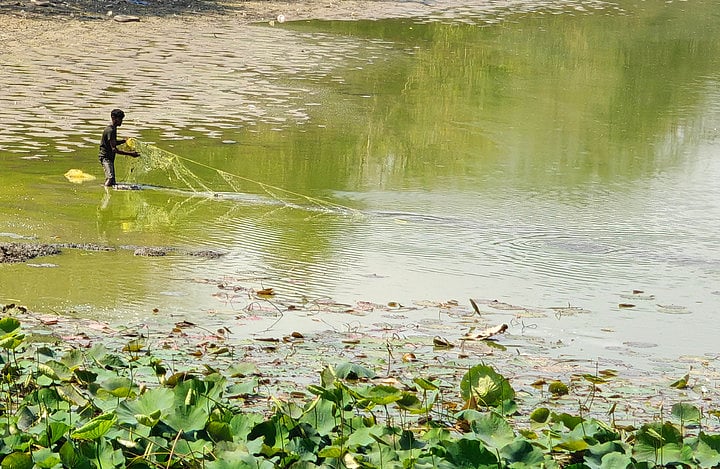 The New Indian Express - Business - News Image