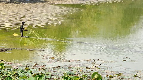 Representative image