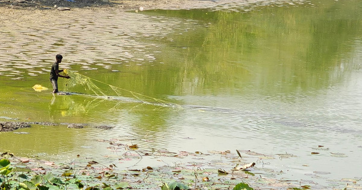 The New Indian Express - Business - News Image