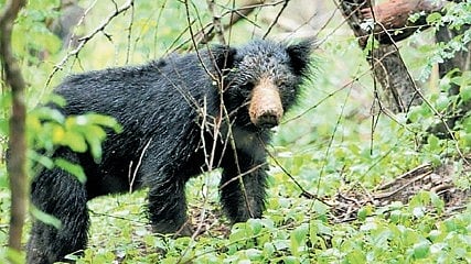 Image used for representative purpose.