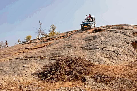 Between rocks and roars: An escape to the remote Rajasthan wilderness of Jawai