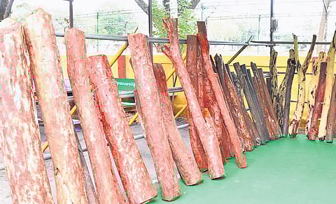 In the first phase, the task force has targeted the assets of a key kingpin from Tamil Nadu who is involved in multiple red sanders smuggling cases. 