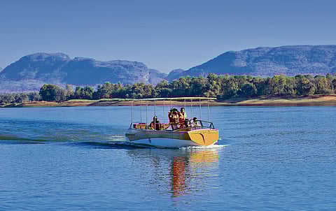 On the Banks of the Beast