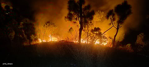 Uttarakhand: Triple-law to protect forests from fire this summer