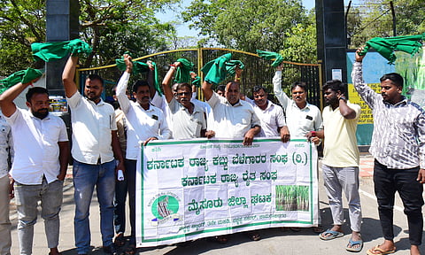 Farmers stage protest opposing reopening of Safari in front of Aranya Bhavan in Mysuru on Thursday.