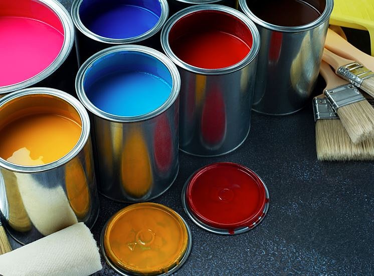 Indigo Paints dismisses Birla Opus threat, says profitability has remained unaffected