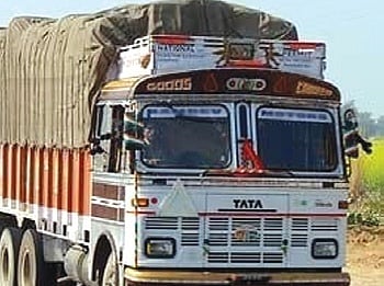 MP districts bordering Maharashtra emerge as transit for illegal cattle trade