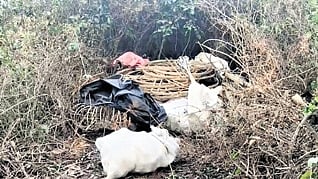  Illegal firecrackers