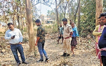 Forest staff examining the spot where the incident took place 
