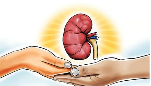 Image used for representation