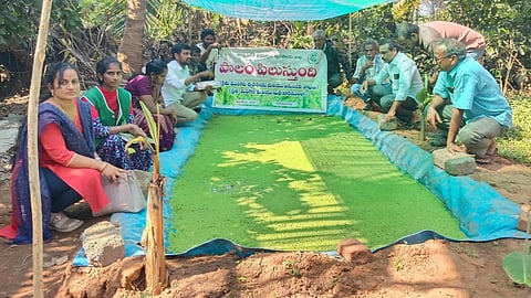 Bio fertilizer, Azolla plot for reducing Urea consumption. 