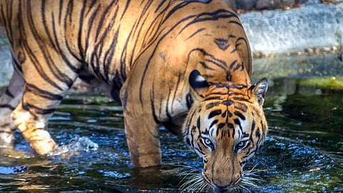 Image used for representative purpose.