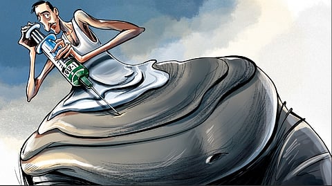 Representational image