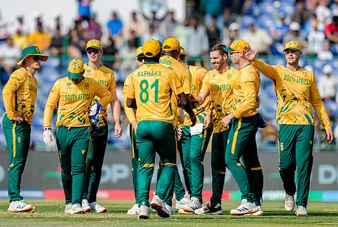 South Africa players celebrate a wicket on Sunday
