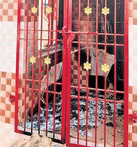 Police are perusing CCTV footage from the area to identify the culprits 