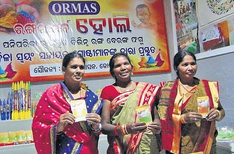 SHG members with their herbal colours at the stall near Koraput collectorate