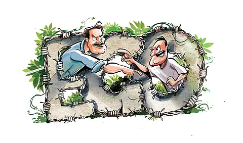 Image used for representation