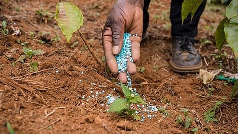 Image used for representational purposes only.