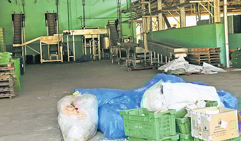 The processing unit of Vazhakkulam Agro and Fruit Processing Company