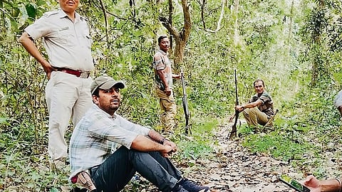 Parveen Kaswan, IFS, Jaldapara National Park, West Bengal
