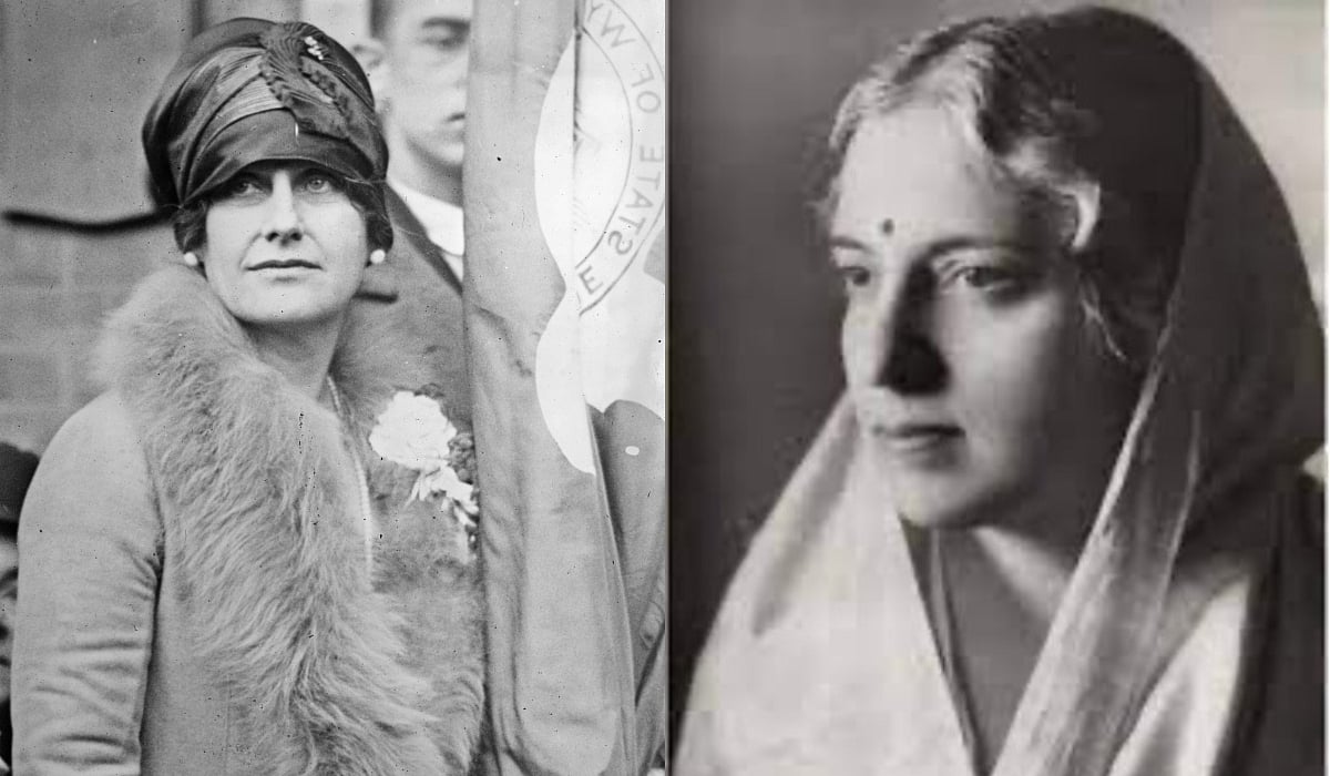 International Women’s Day | Partnership, not antagonism: The evolutionary logic of the two Nellies