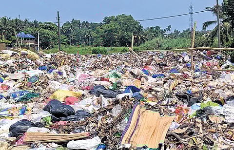 Unsegregated waste dumped in the paddy field close to the Attukal temple