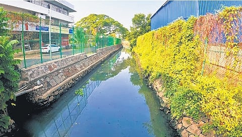 The Thevara-Perandoor canal