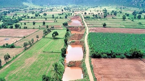 A barren stretch of land stands transformed into a thriving green landscape following restoration efforts by Siruthuli Trust.