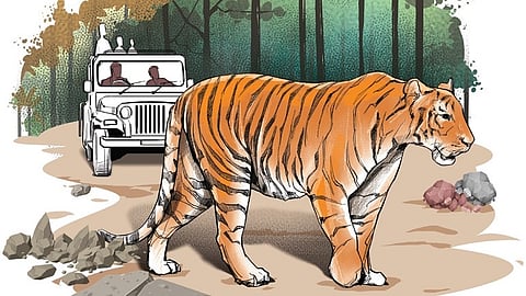 Karnataka is reported to have spent Rs 1044 crore over the past three years to address human-wildlife conflict