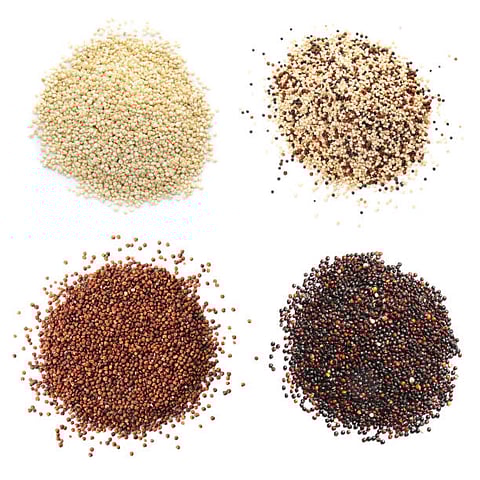 The real tales of pseudocereals