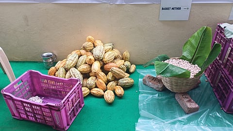 Unseasonal rains and extreme temperatures have reduced both yield and quality of cocoa beans in several areas.