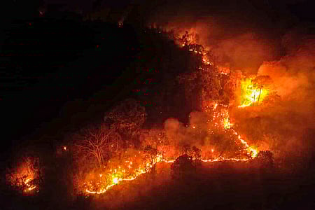 Parliament panel urges MoEFCC to adopt tech-driven approach for forest fire prevention, management